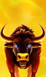 Big Wild Buffalo 2