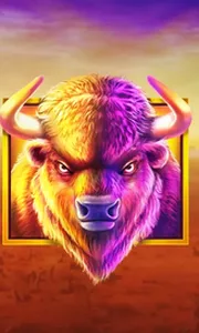 Buffalo King